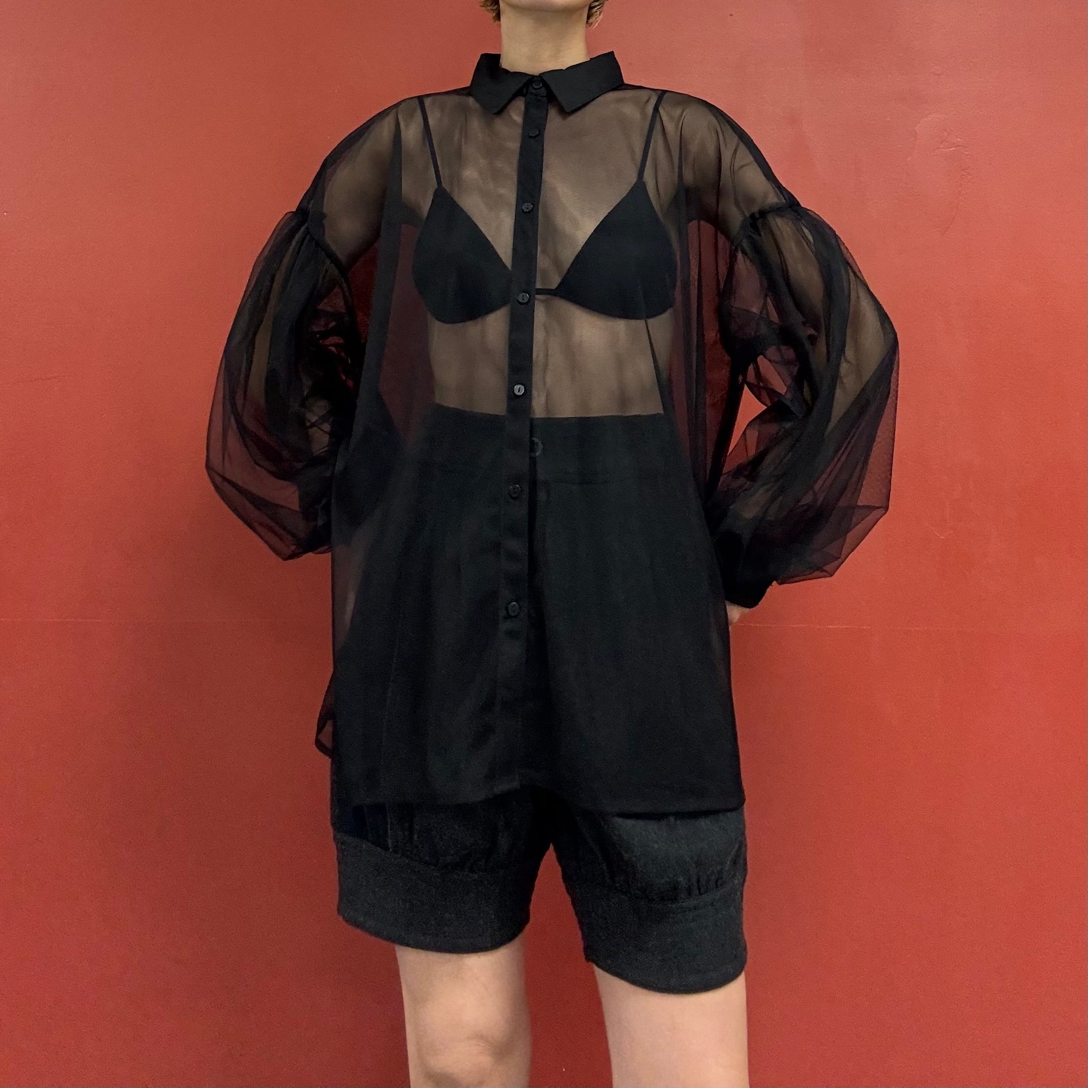 Tule puffy sleeves blouse