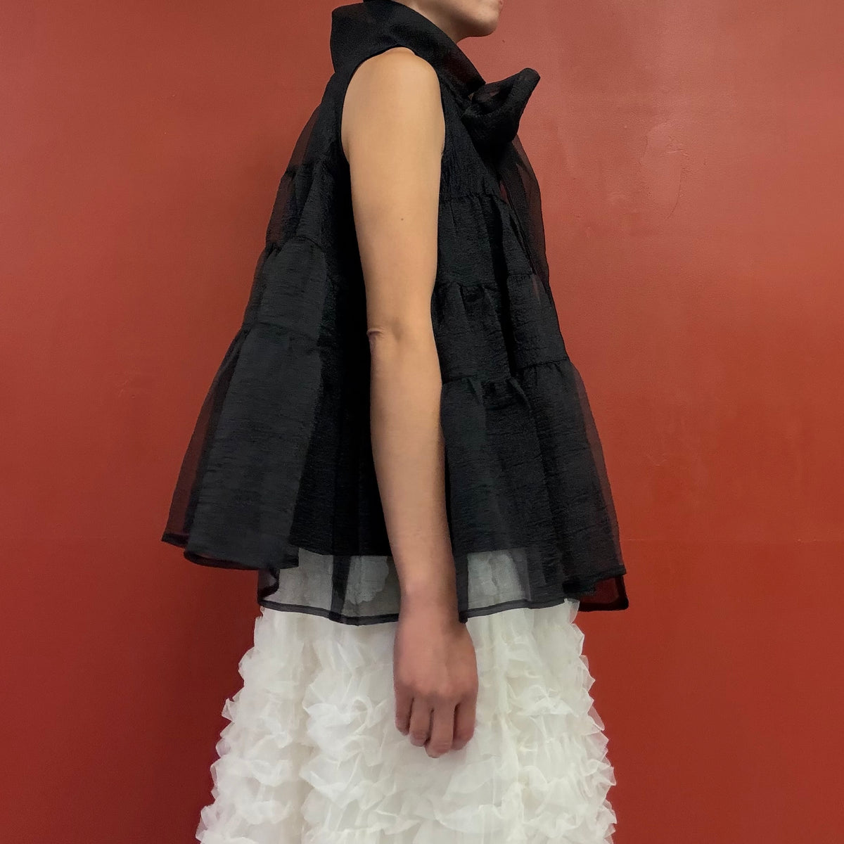 Sheer tiered bow neck top