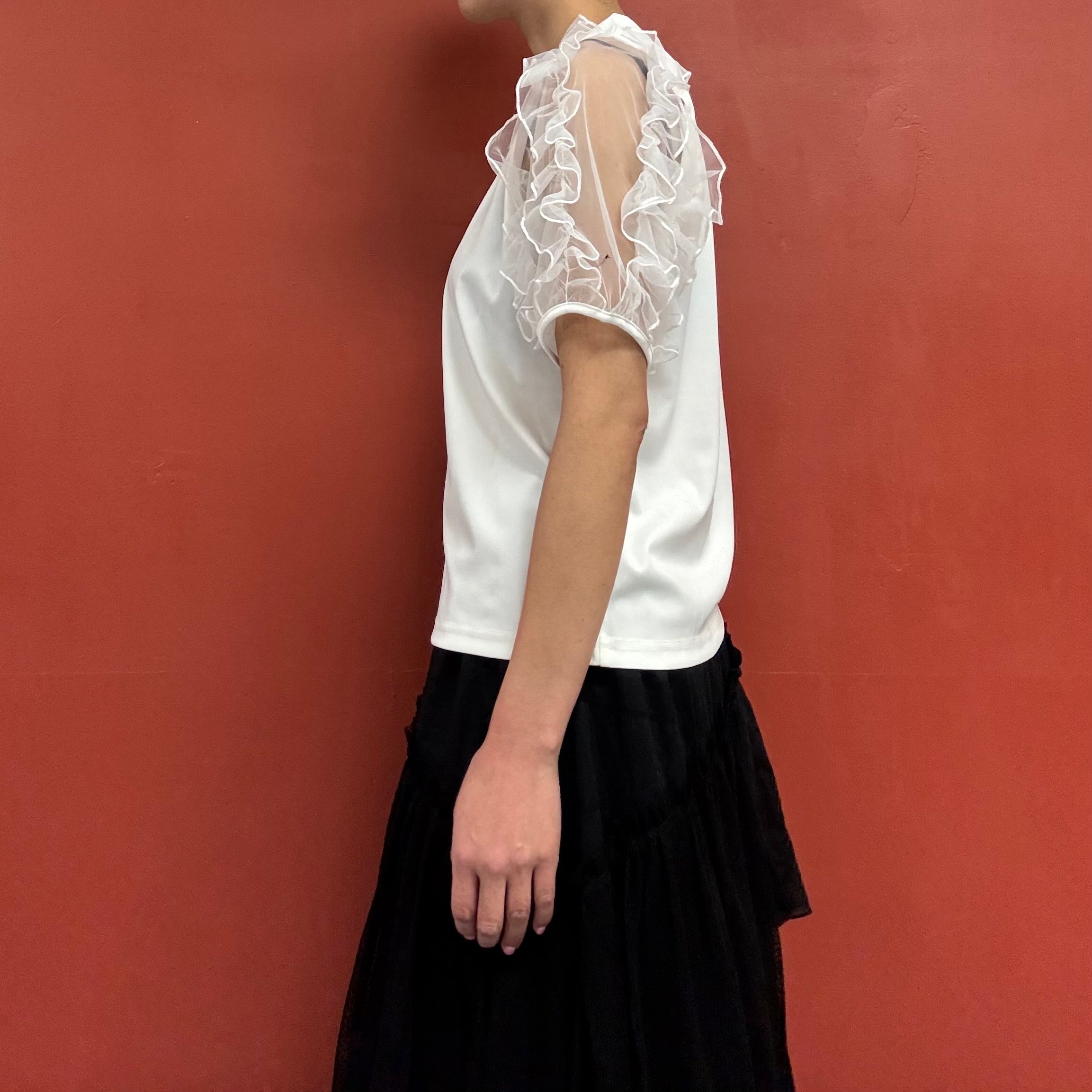 Tule sleeves top