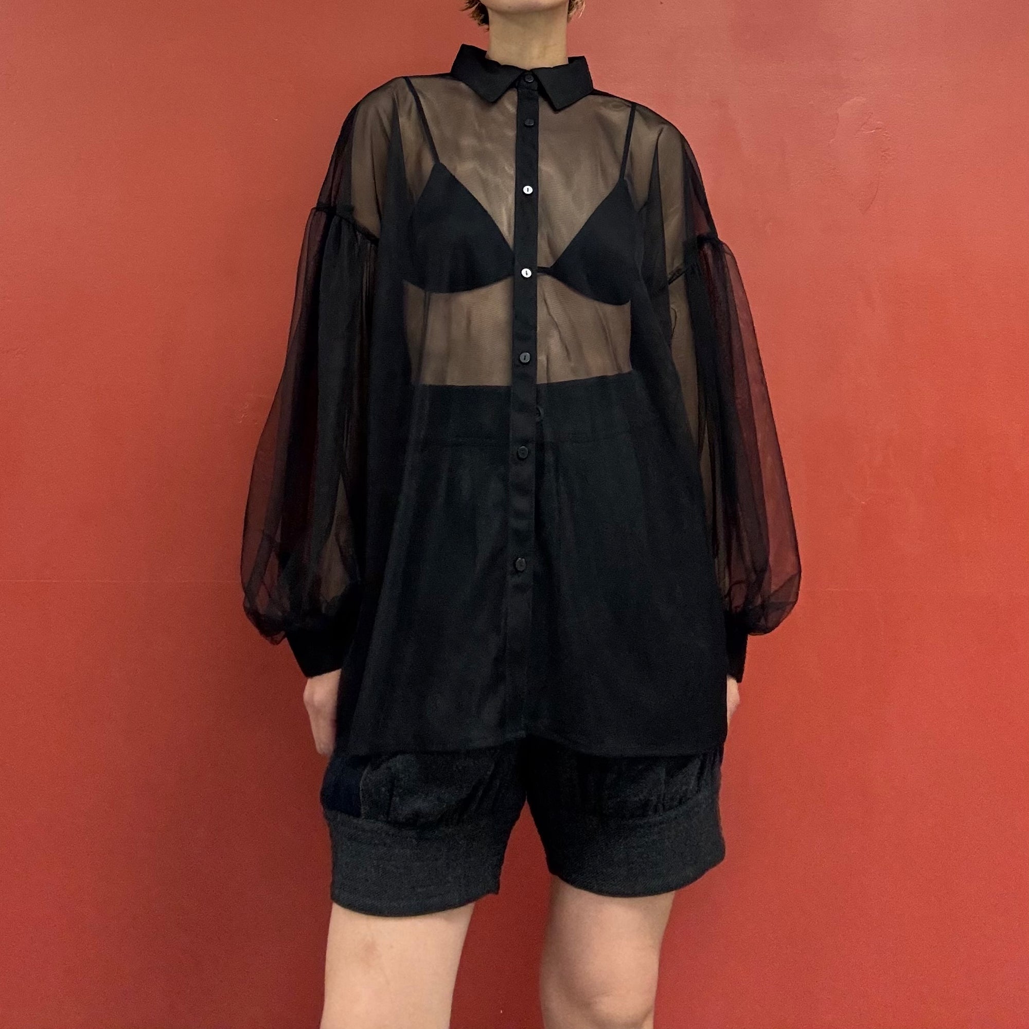 Tule puffy sleeves blouse