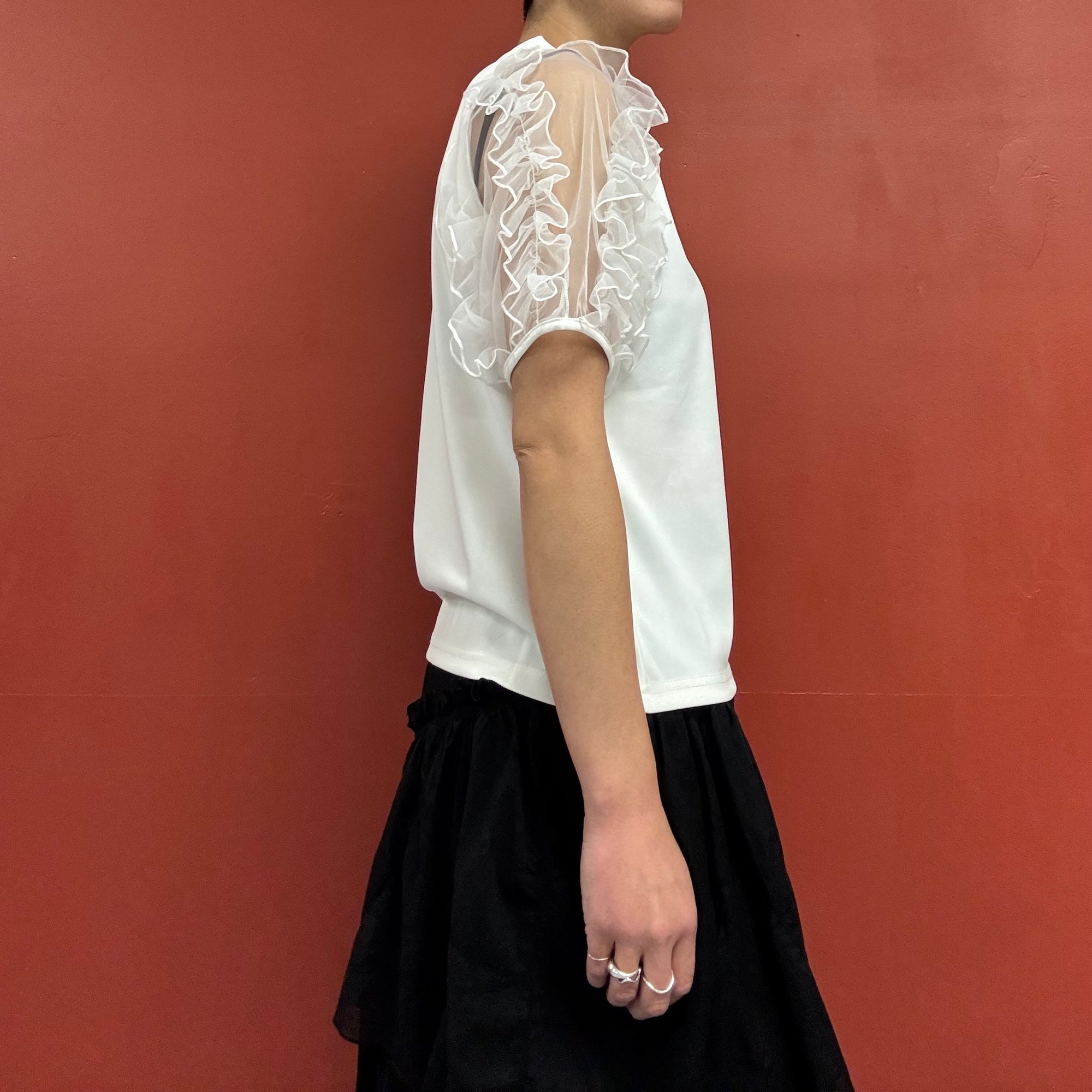 Tule sleeves top