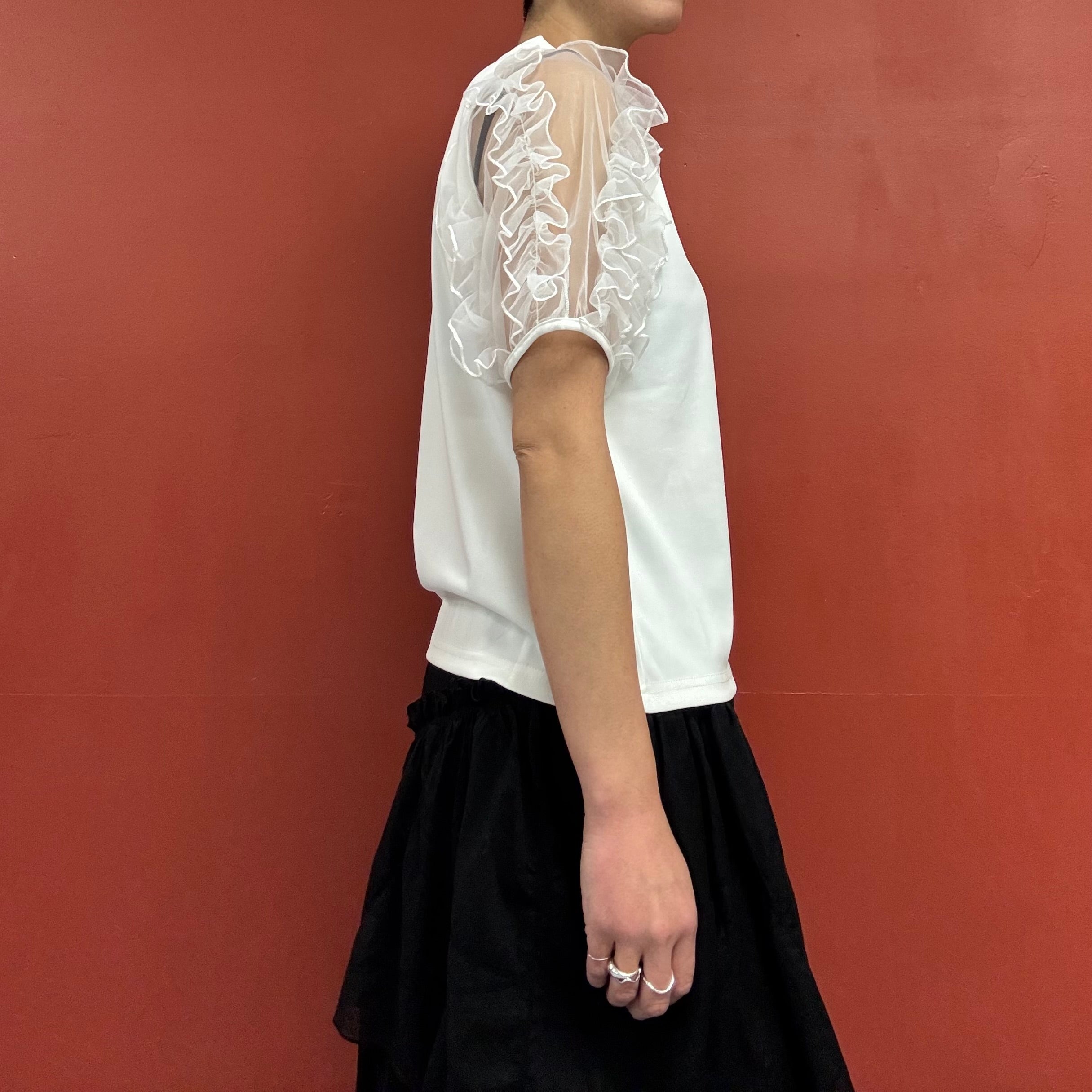 Tule sleeves top