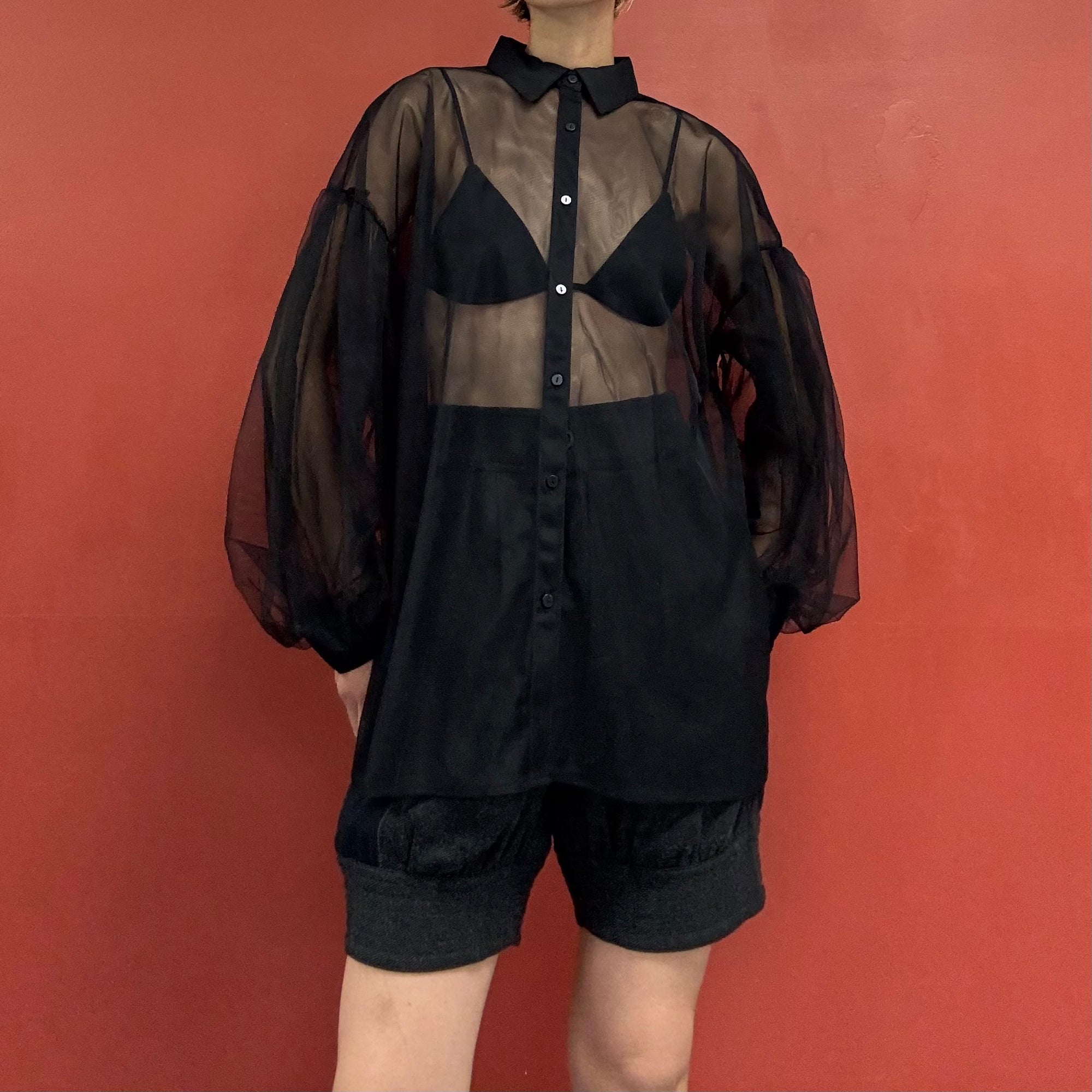 Tule puffy sleeves blouse